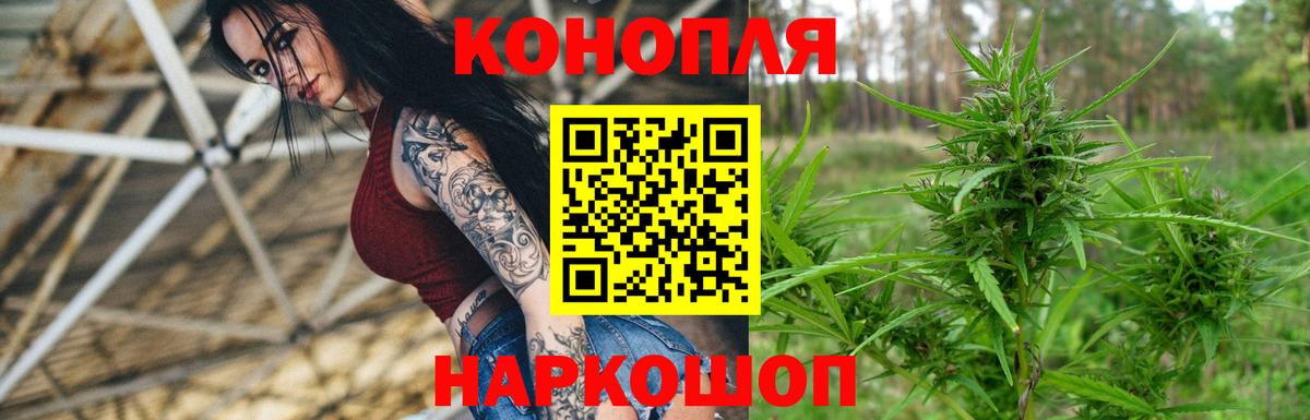Бошки марихуана THC 21% Новоалександровск